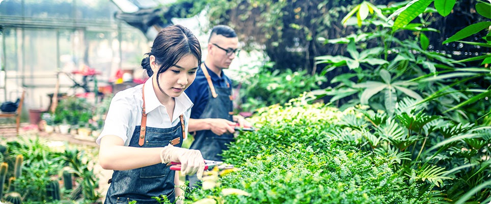 Gardeners at work